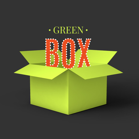 Open green box mockup template. Can be used to deliver your goods. Vector Illustration .のイラスト素材