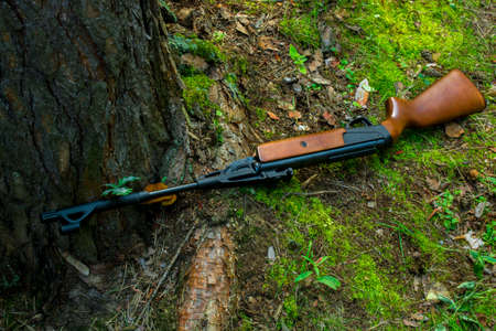 quipeの写真素材