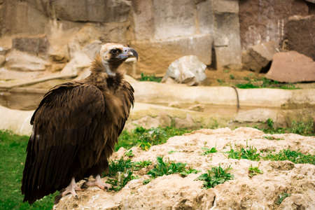 quipeの写真素材