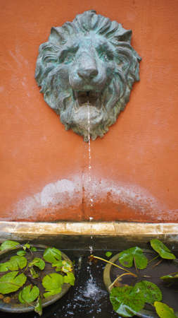 Lion sprayの写真素材