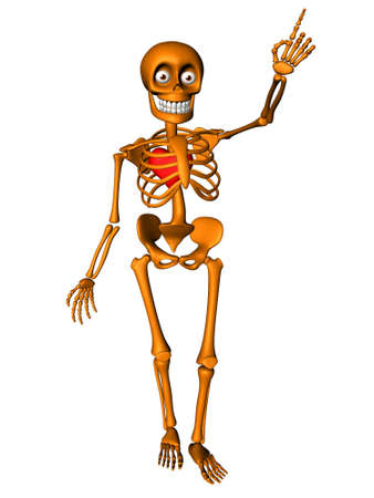 Cute human body skeleton with red heartの写真素材