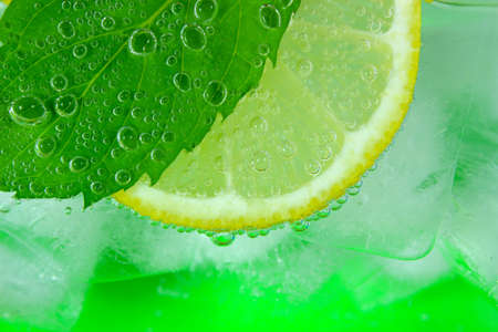 Lemon slice, mint leaf, soda and iceの写真素材
