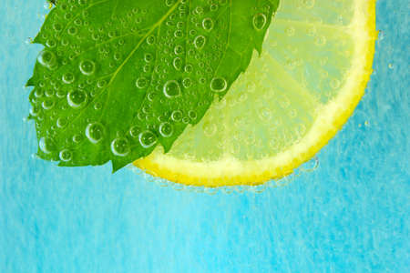 Lemon slice, mint leaf and soda  water with bubbles の写真素材