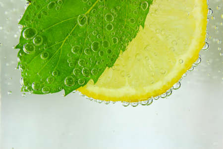 Lemon slice, mint leaf and soda  water with bubbles の写真素材