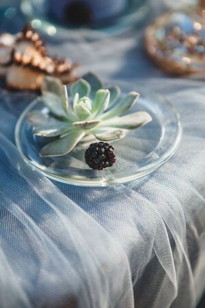 wedding decoration in sea styleの写真素材