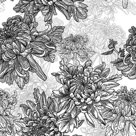 Floral lack and white background with chrysanthemumsのイラスト素材