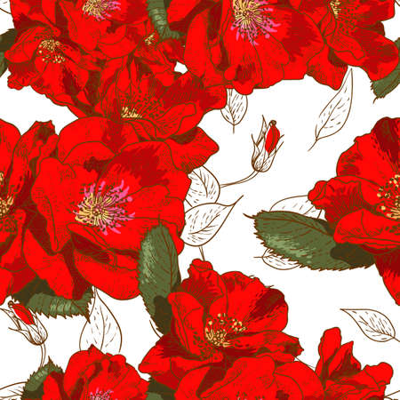 Beautiful seamless floral patternのイラスト素材