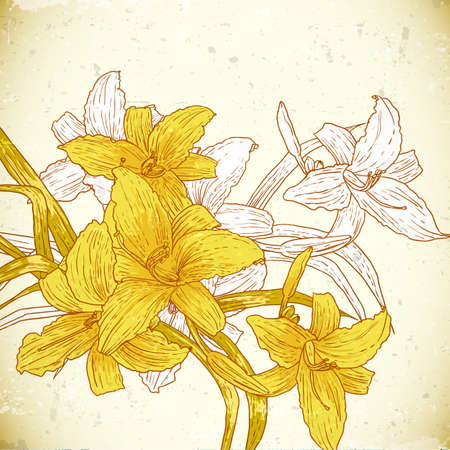 Floral background with yellow lilies in vintage styleのイラスト素材