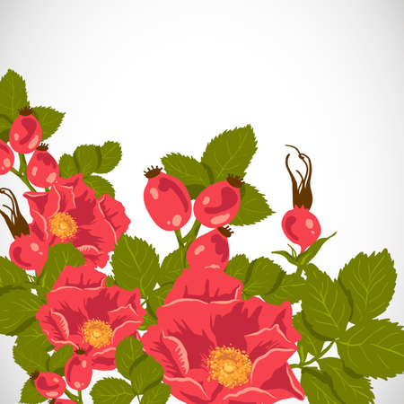 Floral background with wild rose, brierのイラスト素材