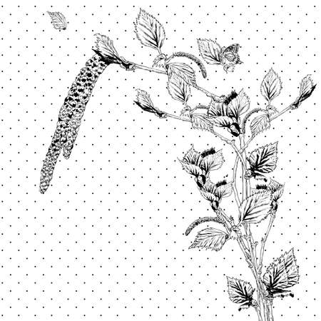Vintage Monochrome Background with Birch Twigs  Vector Design element.のイラスト素材