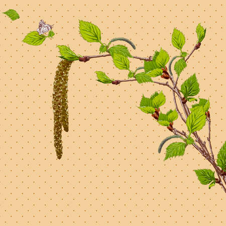 Vintage Card with Birch Twigs Vector Design element. Nature Backgoundのイラスト素材
