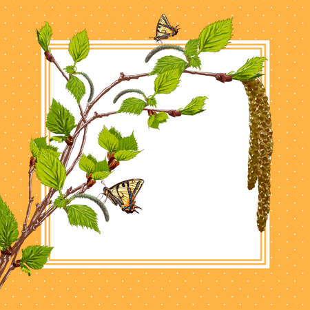 Vintage background with birch branches and butterflies. Vector Design element. Nature Backgroundのイラスト素材