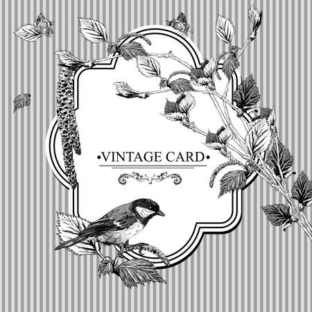 Vector Design element. Nature Background Vintage Card with Birch Twigs and Bird Titのイラスト素材