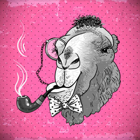 Vintage Card with Hipster Animal. Camel with a pipe and a monocle, vector illustrationのイラスト素材