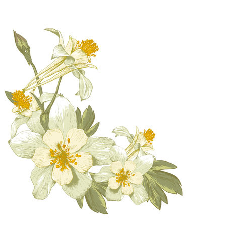Floral design element with white blooming flowersのイラスト素材