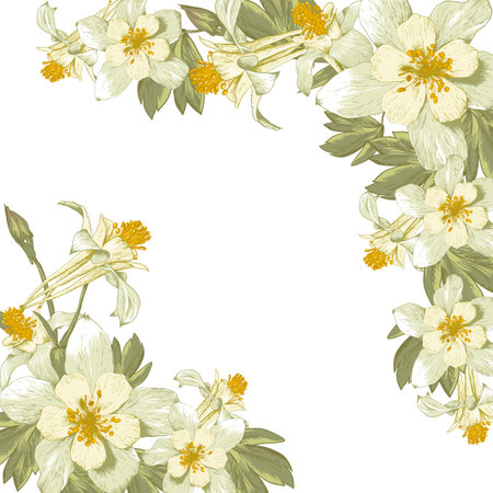 Frame with white blooming flowersのイラスト素材
