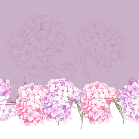 Beautiful Pink Hydrangea Vintage Seamless Floral Border Botanical Vector Illustrationのイラスト素材