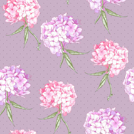 Beautiful Pink Hydrangea, Vintage Botanical Seamless Backgroundのイラスト素材