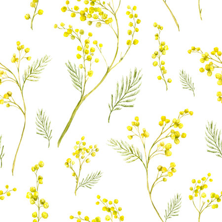 Seamless Pattern with Watercolor Sprig of Mimosaの写真素材
