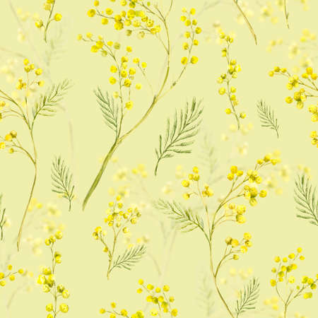 Seamless Pattern with Watercolor Sprig of Mimosaの写真素材