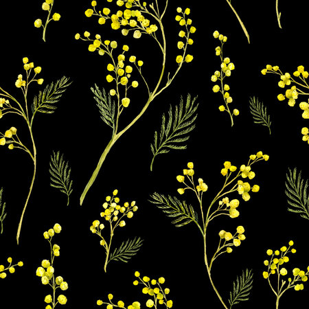 Seamless Pattern with Watercolor Sprig of Mimosaの写真素材