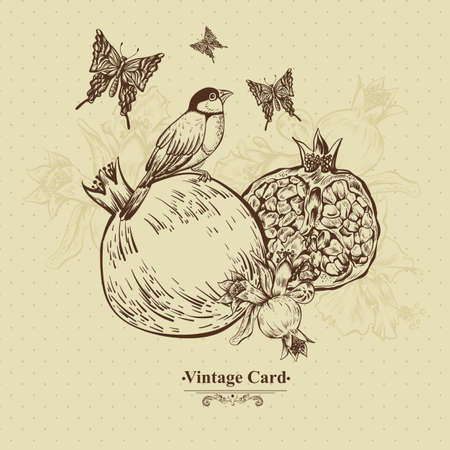 Vintage Greeting Card Tropical Fruit, Flowers, Butterfly and Birds, Vector Illustration. Pomegranateのイラスト素材