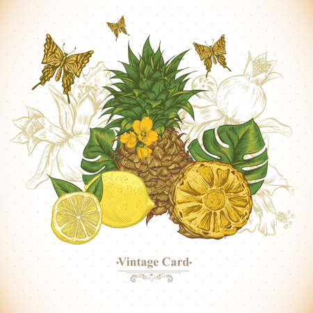 Vintage Greeting Card Tropical Fruit, Flowers, Butterfly, Vector Illustration. Pineapple and Lemonsのイラスト素材
