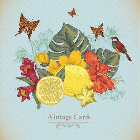 Vintage Greeting Card Tropical Fruit, Flowers, Butterfly and Birds, Vector Illustration. Lemon and Hibiscusのイラスト素材