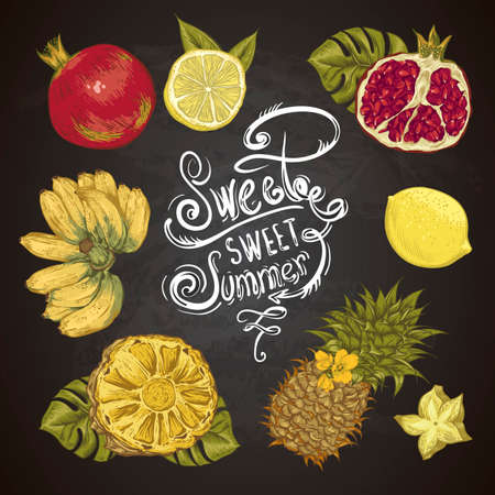 Vintage Set of Tropical Fruit on the Chalkboard. Vector Illustration. Pineapple and Pomegranate, Lemon and Bananaのイラスト素材