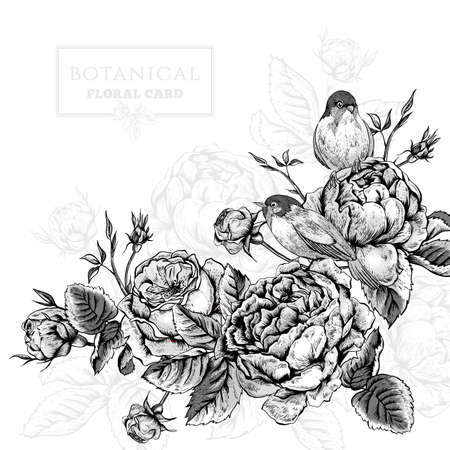 Black and white botanical floral card in vintage style with blooming english roses and birds, vector illustrationのイラスト素材