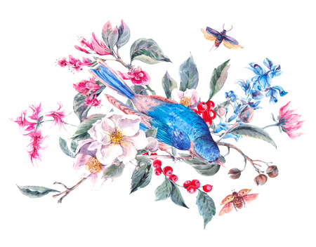 Watercolor Spring Vintage Greeting Card with Gentle Spring Pink Flowers, Beetles and Birds, Botanical Watercolor illustrationの写真素材