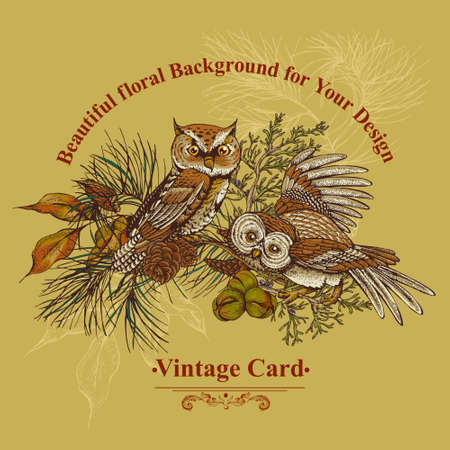 Forest vintage greeting card with owls, spruce branches and fir cones, vector illustrationのイラスト素材