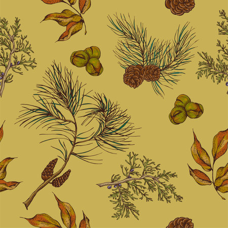 Forest vintage seamless background with spruce branches and fir cones, vector illustrationのイラスト素材