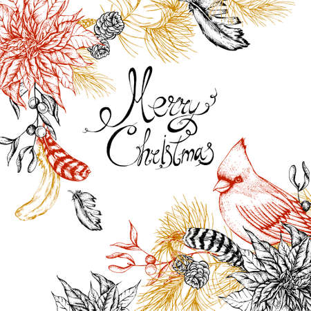 Christmas vintage floral greeting card with poinsettia, feathers and bird red cardinal. Botanical vector illustrationのイラスト素材