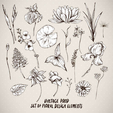 Set of monochrome vintage pond water flowers vector elements, Botanical shabby chic illustration reeds, lily, iris, wildflowers leaves and twigs.のイラスト素材