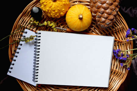 White paper mock up on rustic wicker background with natural style decorations pumpkin, pine cones and dried flowers. Blank template, art letters, background space for text. Natural vintage mock up.の写真素材