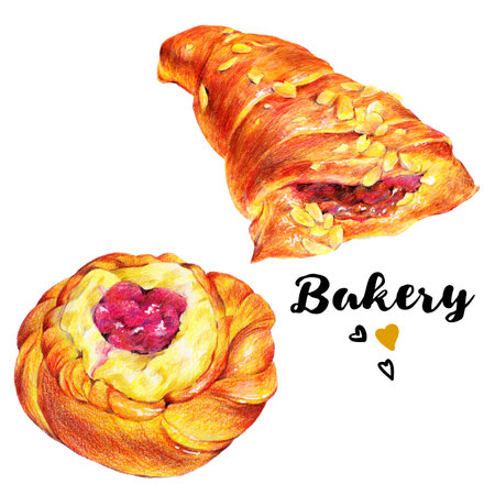 Hand drawn baking set isolated on a white background, roll bun with strawberry jam, curd cream, peanuts. Vintage pencil food illustrationの写真素材