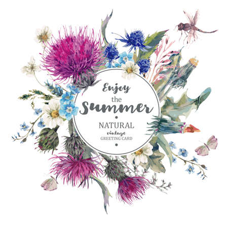 Vintage Natural Herbal Greeting Card with Blooming Meadow Flowers-Thistles, Dandelions, Meadow Herbs, Chamomile and Dragonfly. Botanical Floral Vector Vintage Isolated Illustration on Whiteのイラスト素材