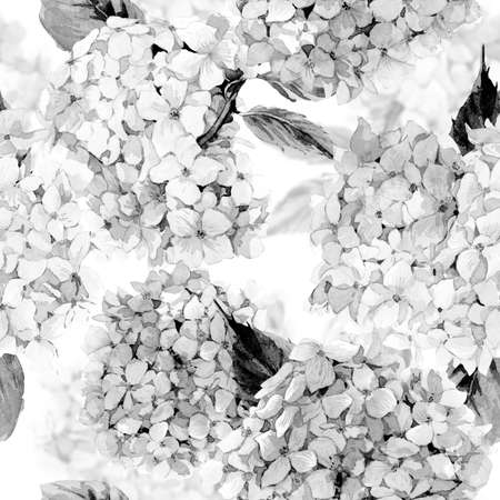 Summer monochrome watercolor Vintage Floral seamless pattern with Blooming Hydrangea, botanical natural Illustration. Black and whiteの写真素材