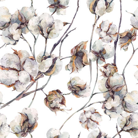 Watercolor vintage bouquet of twigs and cotton flowers. Botanical watercolor  seamless pattern.の写真素材