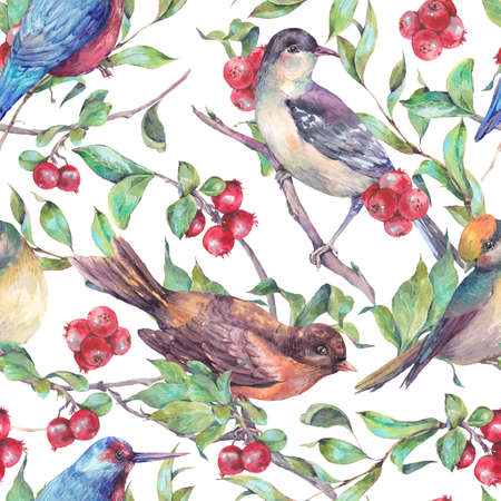 Vintage hand drawn watercolor seamless pattern, birds on a branch with red berries. Watercolor natural illustrationの写真素材