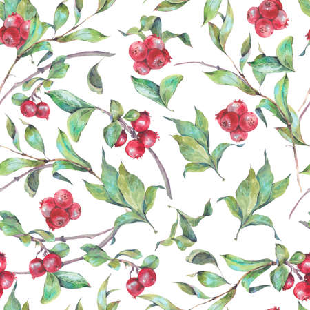 Vintage hand drawn watercolor seamless pattern with red berries. Watercolor natural illustrationの写真素材
