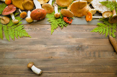 Fall harvest forest mushrooms on a rustic wooden background, natural autumn style decorations. Background space for text. Natural plenteous border background vintage mock up.の写真素材