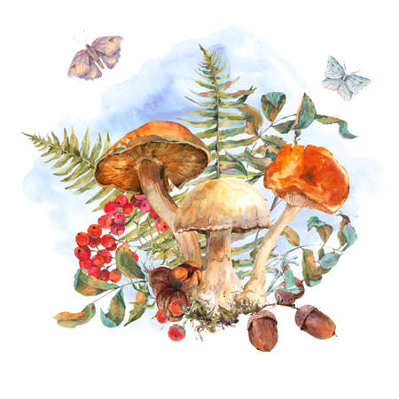 Watercolor vintage mushrooms greeting card. Fall harvest forest mushrooms. Rowan, butterflies, leaves, fern and twigs. Natural autumn botanical illustration.の写真素材