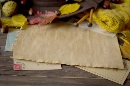 Vintage autumn frame with yellow, red leaves, chestnuts, hat, camera, knitting needles and retro...