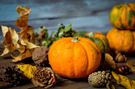 Autumn decorative pumpkins, fall leaves on a rustic wooden background, natural fall style decorations. Natural plenteous border background vintage mock up.の写真素材