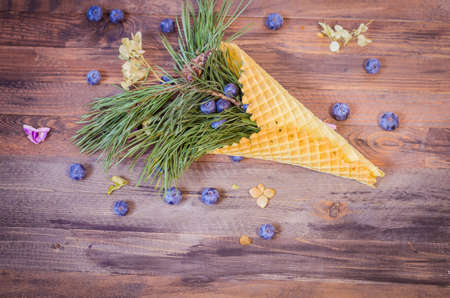 Festive scene with fir branches and blueberries in a powdered waffle cone on rustic wooden background, Copy space,の写真素材