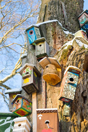 Sunny bright winter day. A lot of vintage hand-made wooden birdhouses on old  dry tree, sunlight, daylight, outdoors. Natural winter decoration. Nesting boxes collectionの写真素材