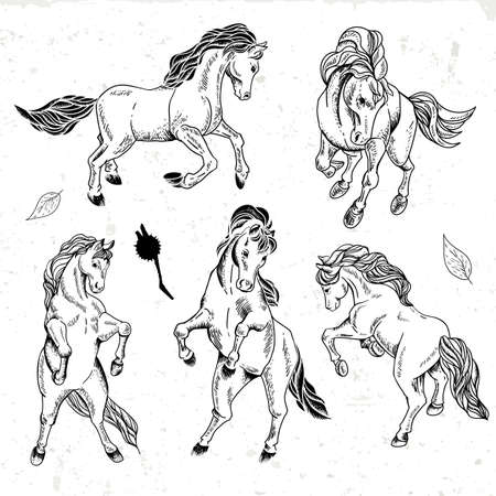 Set of hand drawn monochrome sketch horsesのイラスト素材
