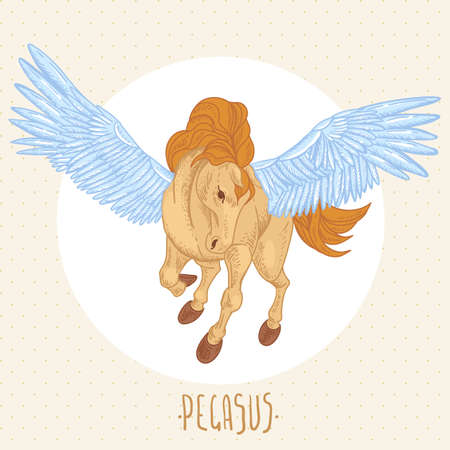 Vector illustration of of winged pegasusのイラスト素材